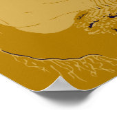 Tiefseearten, Siphonophorae Poster (Ecke)