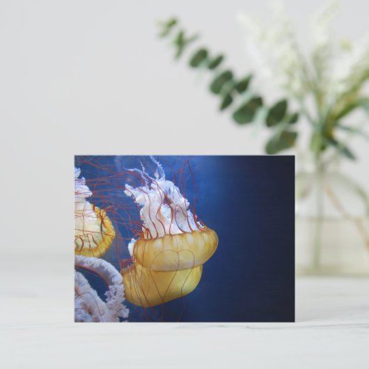 Tiefseefisch Postkarte (Stehend Vorderseite)