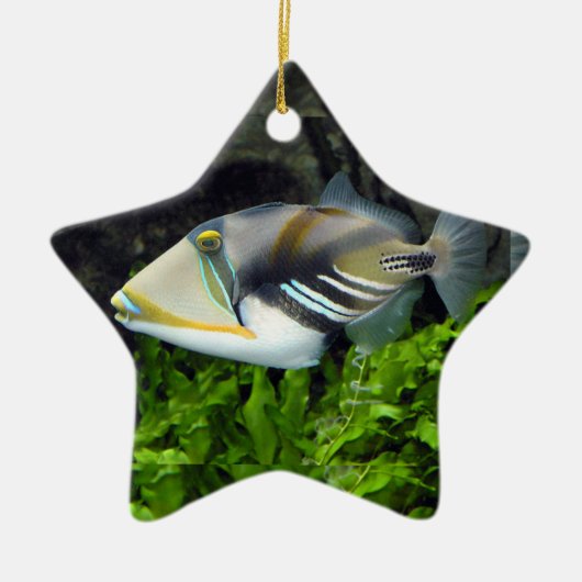 Tiefseefische Keramik Ornament (Vorne)