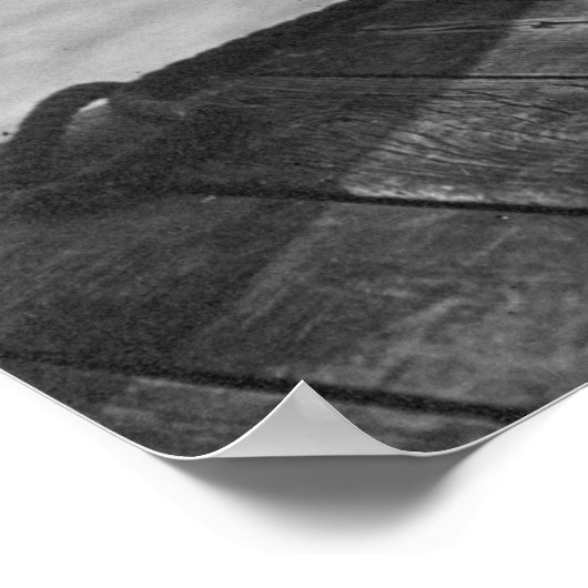 Tiefseefischerei, 1912 poster (Ecke)