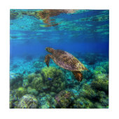 Tiefseegarnelen Fliese (Vorderseite)