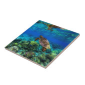 Tiefseegarnelen Fliese (Seite)