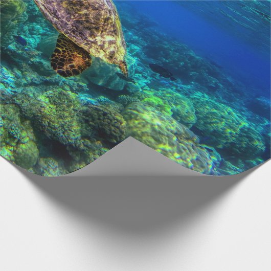 Tiefseegarnelen Geschenkpapier (Ecke)