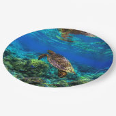 Tiefseegarnelen Pappteller (Schrägansicht)