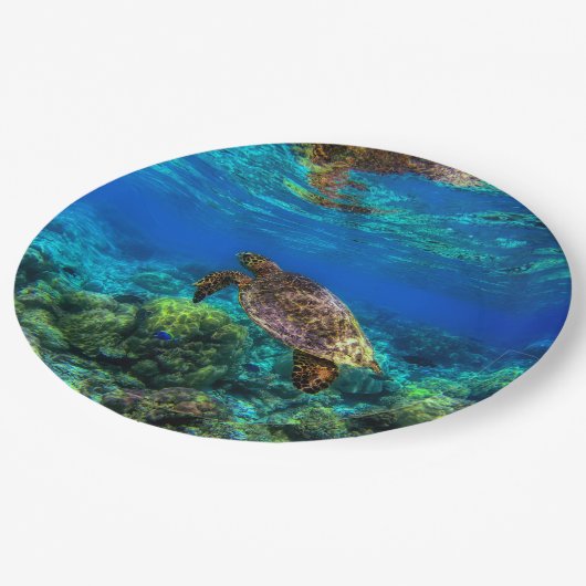 Tiefseegarnelen Pappteller (Schrägansicht)