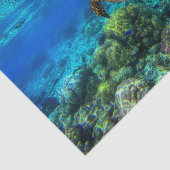 Tiefseegarnelen Seidenpapier (Ausschnitt)