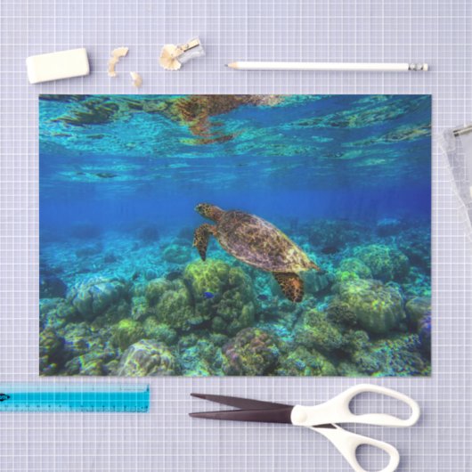 Tiefseegarnelen Seidenpapier (Handwerk)