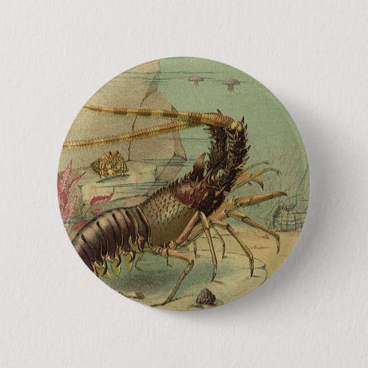Tiefseegarnelen, Vintage Meerestiere Button (Vorderseite)