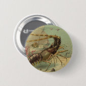 Tiefseegarnelen, Vintage Meerestiere Button (Vorne & Hinten)