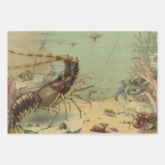 Tiefseegarnelen, Vintage Meerestiere Geschenkpapier Set (Vorderseite 3)