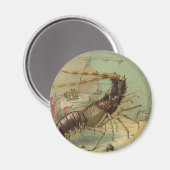Tiefseegarnelen, Vintage Meerestiere Magnet (Vorderseite/Rückseite)