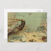 Tiefseegarnelen, Vintage Meerestiere Postkarte (Vorne/Hinten)