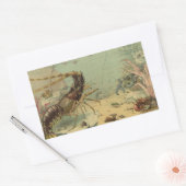 Tiefseegarnelen, Vintage Meerestiere Rechteckiger Aufkleber (Umschlag)