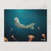 Tiefseegel Postkarte (Rückseite)