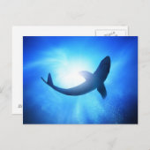 Tiefseehai-Silhouette Postkarte (Vorne/Hinten)