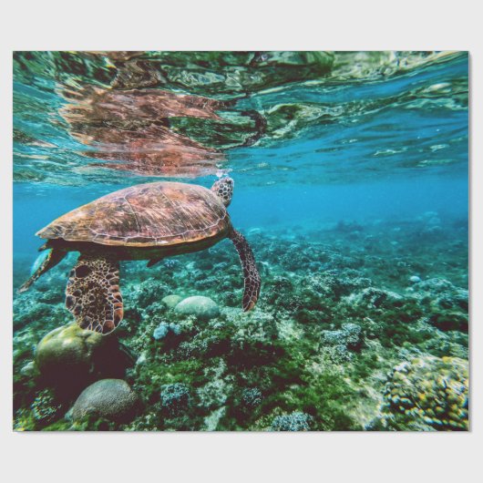 Tiefseeschwalbe Geschenkpapier (Flach)