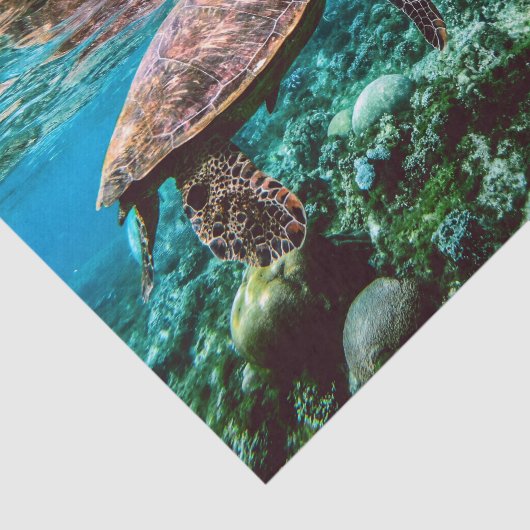 Tiefseeschwalbe Seidenpapier (Ausschnitt)