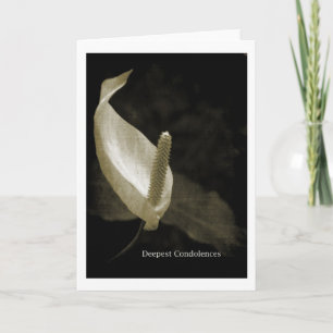 Tiefste Anteilnahme Karte