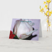 tiefstes Beileid Karte (Gelbe Blume)