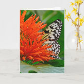 Tieftes Beileid mit Schmetterling Karte (Gelbe Blume)