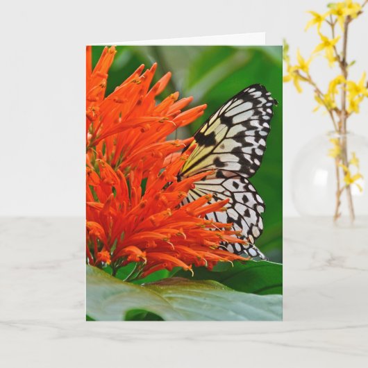 Tieftes Beileid mit Schmetterling Karte (Gelbe Blume)