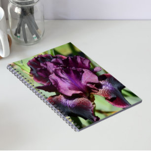 Tiefviolette Irisblüten-Blumen Notizblock