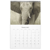 Tier-Afrika-Kalender 2010 - afrikanische Safari Kalender (Jan 2027)
