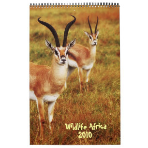 Tier-Afrika-Kalender 2010 - afrikanische Safari Kalender