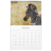 Tier-Afrika-Kalender 2010 - afrikanische Safari Kalender (Mär 2026)