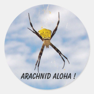 Tier-Aloha hawaiische Garten-Spinne Runder Aufkleber