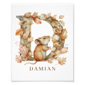 Tier Alphabet Buchstabe D Kinder Name Maus Poster (Vorne)