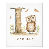 Tier-Alphabet Buchstabe I Kindername Eule Poster (Vorne)