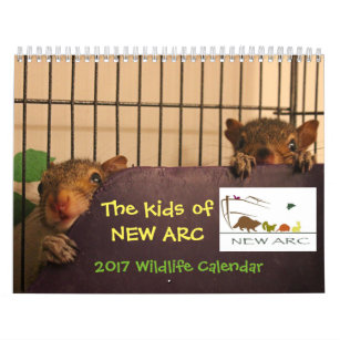 Tier-Baby-Kalender 2017 Kalender