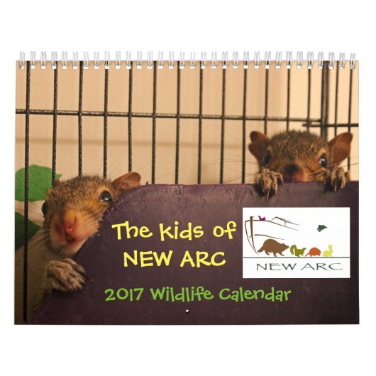 Tier-Baby-Kalender 2017 Kalender (Titelbild)