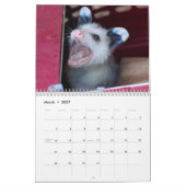 Tier-Baby-Kalender 2017 Kalender (Mär 2027)