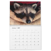 Tier-Baby-Kalender 2017 Kalender (Jan 2027)