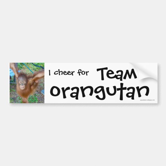 Tier-Cheerleader: Team-Orang-Utan Autoaufkleber (Vorne)