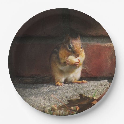 Tier - Chipmunk - Das ist alles meins Pappteller (Vorderseite)
