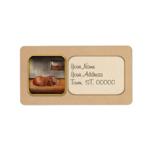 Tier - das Meerschweinchen Adressaufkleber