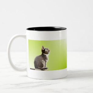 Tier Decoration Cat Design Geometry Natur Pop Zweifarbige Tasse