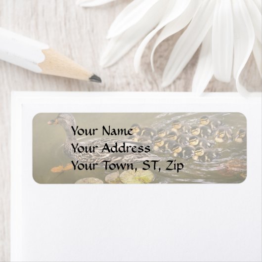 Tier - Ducks - Swim like a duck (Insitu)