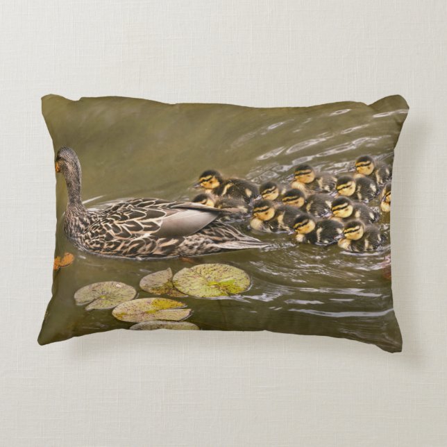 Tier - Ducks - Swim like a duck Dekokissen (Rückseite)