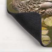 Tier - Ducks - Swim like a duck Mousepad (Ecke)