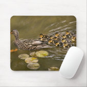 Tier - Ducks - Swim like a duck Mousepad (Mit Mouse)