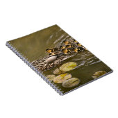 Tier - Ducks - Swim like a duck Notizblock (Rechte Seite)