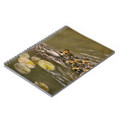 Tier - Ducks - Swim like a duck Notizblock (Linke Seite)
