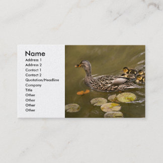 Tier - Ducks - Swim like a duck Visitenkarte