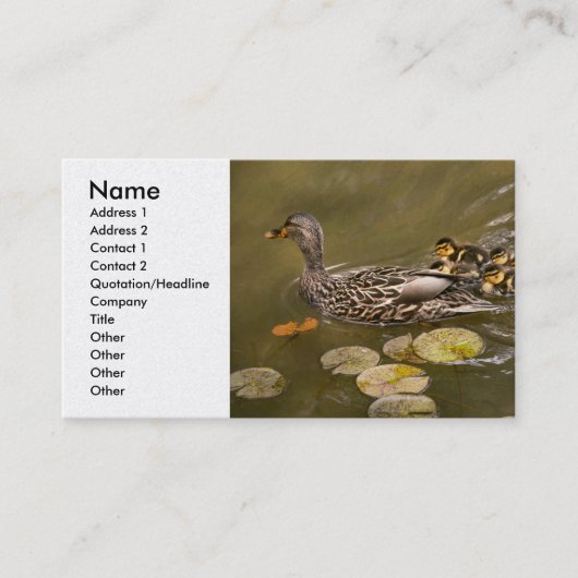 Tier - Ducks - Swim like a duck Visitenkarte (Vorderseite)