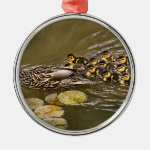 Tier - Enten - Schwimmen wie eine Ente Ornament Aus Metall