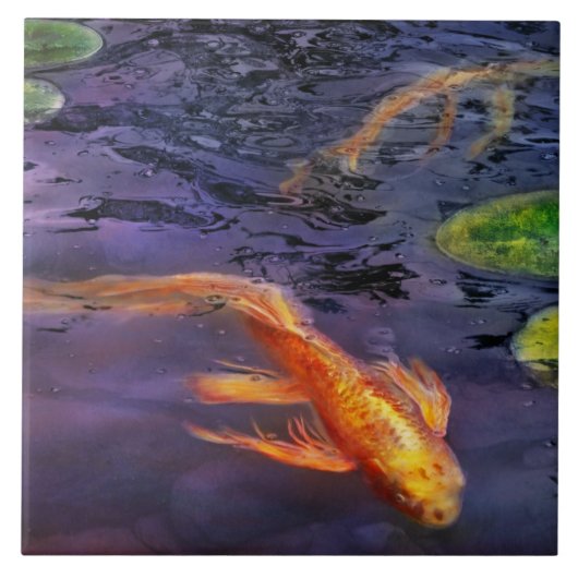 Tier - Fisch - Es gibt etwas an Koi Fliese (Vorderseite)
